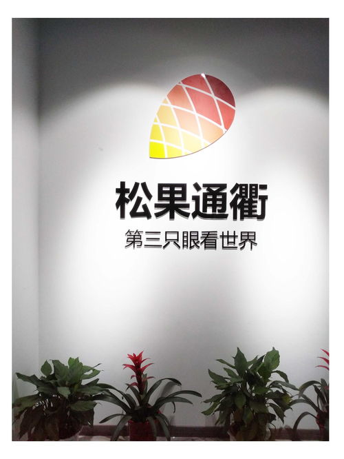 武漢松果通衢網(wǎng)絡(luò)科技 計算機(jī)科技領(lǐng)域的創(chuàng)新力量